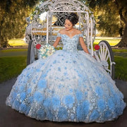 Baby Blue 3D Flowers Lace Sweetheart Quinceanera Dress