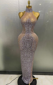 Amanda Sparkly Silver Rhinestone Sheer Mesh Long Evening Dress