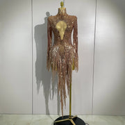 Aimee sexy sheer mesh long sleeve sparkly rhinestone sequin tassel dress