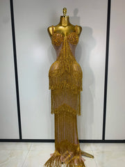 Shine in the Marsha rhinestone bodycon long dress. Elegant sheer evening gown for birthdays, prom, parties, and glamorous photoshoots.