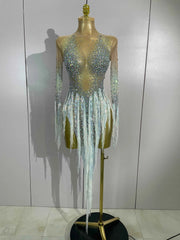 Riza Rhinestone Tassel Long Sleeve Mesh Mini Dress