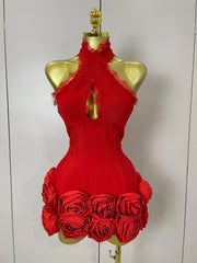 Cleo halter red floral lace bodycon mini dress for women’s birthdays, nightclub parties, or evening fashion events.