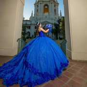 Shiny Applique Beading Princess Royal Blue Quinceañera Dress