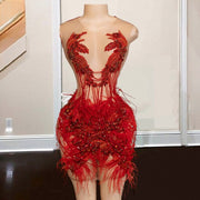 Red Feathered Luxury Crystal Birthday Dress