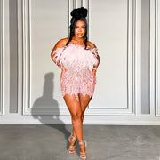 Pink Feather Sparkly Luxury Beaded Birthday Dress