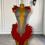 Ravishing Red Rhinestone Feather Sequined Birthday Dress