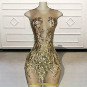 Sheer Gold Sparkly Sequin Feathers Birthday Dress