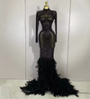 Elaine long sleeve sheer black maxi dress with sparkling crystals and luxury feather trim on the sleeves and hem.