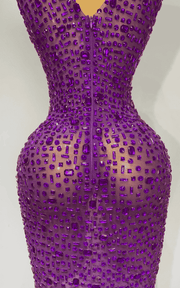 Michelle sparkly rhinestone mesh long dress for women. Elegant sleeveless gown for prom, birthdays, evening parties, and luxury events.