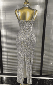 Shayna colorful sequin bodycon long gown for women. Elegant sleeveless dress for birthdays, cocktail parties, and evening events.