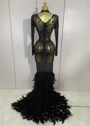 Elaine long sleeve sheer black maxi dress with sparkling crystals and luxury feather trim on the sleeves and hem.