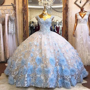 Baby Blue Sweet 16 Quinceanera Dresses For Girls 3D Flowers Lace Sweetheart Lace-up Ball Gown Vestido de 15 anos