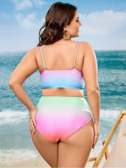 Colorblock Low Rise Fitted Bikinis