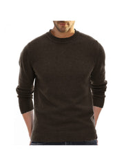 Pure Color Crewneck Long Sleeve Men's Sweater