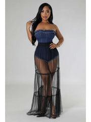 Sheer Denim Raged Hem Strapless Maxi Dress