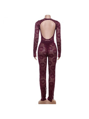 Sheer Hollow-out Bodysuits Pant Sets