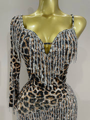 Turn heads in the Daniela leopard print rhinestone tassel mini dress. One-shoulder stretch party dress for birthdays, clubs, and special events.