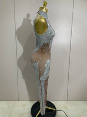 Luxury sleeveless rhinestone bodycon jumpsuit with sparkling crystals for stage or night-out wear.