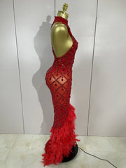 Keziah luxury red rhinestone feather mesh long dress for women, perfect for birthdays, nightclubs, or stage events.