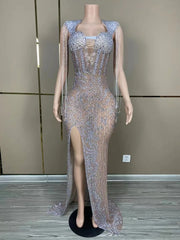 Sexy mesh see-through prom gown with a high split and shimmering silver fringe. Tia Valentine party dress.
