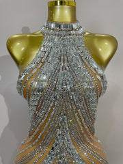 Kimmy silver rhinestone mesh see through mini dress for women. Sexy sparkly outfit for birthdays, nightlife, and stage wear.