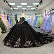 Black Beautiful Multi-color Quinceañera Dress