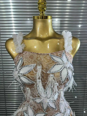 Lucy Stones Feathers Slip Short Dress for Women Sexy Transparent Dress