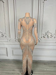 Nyra sexy silver chain fringe mesh see through dress with sparkling chain and fringe accents for women.