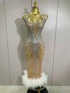 Envious Designs Ara luxury sparkly silver rhinestone sexy mesh see-through long dress for evening gala styling