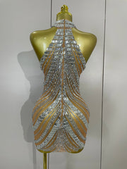 hKimmy silver rhinestone mesh see through mini dress for women. Sexy sparkly outfit for birthdays, nightlife, and stage wear.