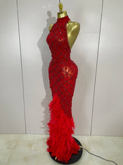 Keziah luxury red rhinestone feather mesh long dress for women, perfect for birthdays, nightclubs, or stage events.