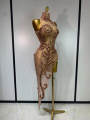 Jillian sparkly diamond sequin sheer mesh asymmetric bodycon dress