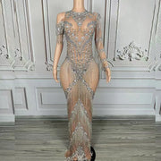 Nyra sexy silver chain fringe mesh see through dress with sparkling chain and fringe accents for women.