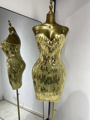 Eisa sequin rhinestone mesh bodycon mini dress for women. Sexy sparkly outfit for birthdays, nightlife, and photoshoots.