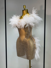 Azi off shoulder mesh mini dress with sheer bodycon fit. Sexy elegant outfit for birthdays, parties, nightclubs, and stage performances.