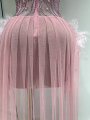 Shanice rhinestone pearl feather bodycon birthday dress with glamorous embellished detailing