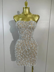 Reiley rhinestone strapless mesh see through mini dress for women. Sexy sparkly outfit for birthdays, nightlife, and parties.