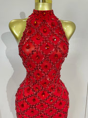 Keziah luxury red rhinestone feather mesh long dress for women, perfect for birthdays, nightclubs, or stage events.