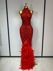 Sexy rhinestone feather mesh long dress with turtleneck and sleeveless design – Serena style.