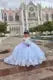 Appliqued Flower Girl Princess Dress