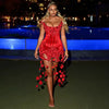 Fiona Sexy Sleeveless Black Fringe Bodycon Birthday Party Dress