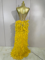 Gabrielle luxury rhinestone feather mesh long tail bodysuit for women, perfect for stage and nightclub performances.