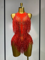 Danica sparkly rhinestones fringes leotard with tassel details for women.