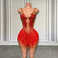 Red See-Through Feather Mini Dress