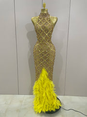 Keziah luxury red rhinestone feather mesh long dress for women, perfect for birthdays, nightclubs, or stage events.