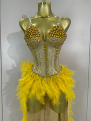 Gabrielle luxury rhinestone feather mesh long tail bodysuit for women, perfect for stage and nightclub performances.