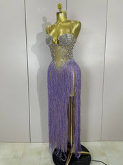 Nylah rhinestones sequins tassel mesh long dress with sparkling details and elegant slim fit for women.