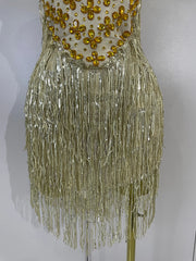Aaliyah gold diamond mesh see-through tassel bodycon mini dress for night-out glam styling