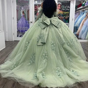 Sage Green Sweet 16 Quinceañera Ball Gowns with Beads and Feathers