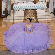 Puffy Ball Gown Luxury Quinceañera Dress